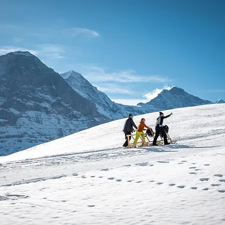 Derby Swiss Quality 3*