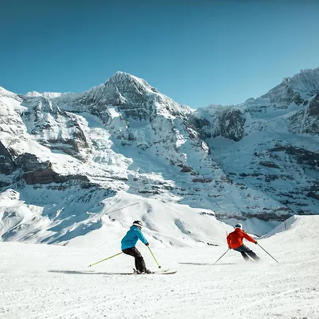 Derby Swiss Quality Grindelwald